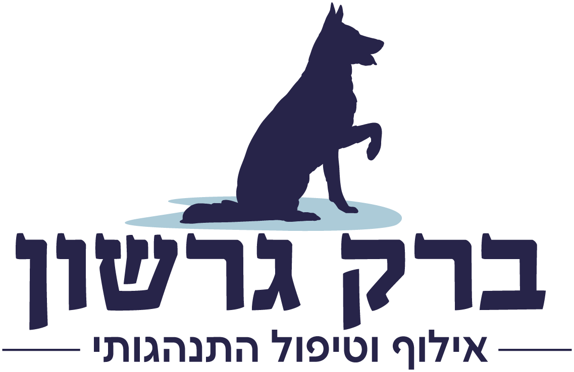 ברק גרשון לוגו